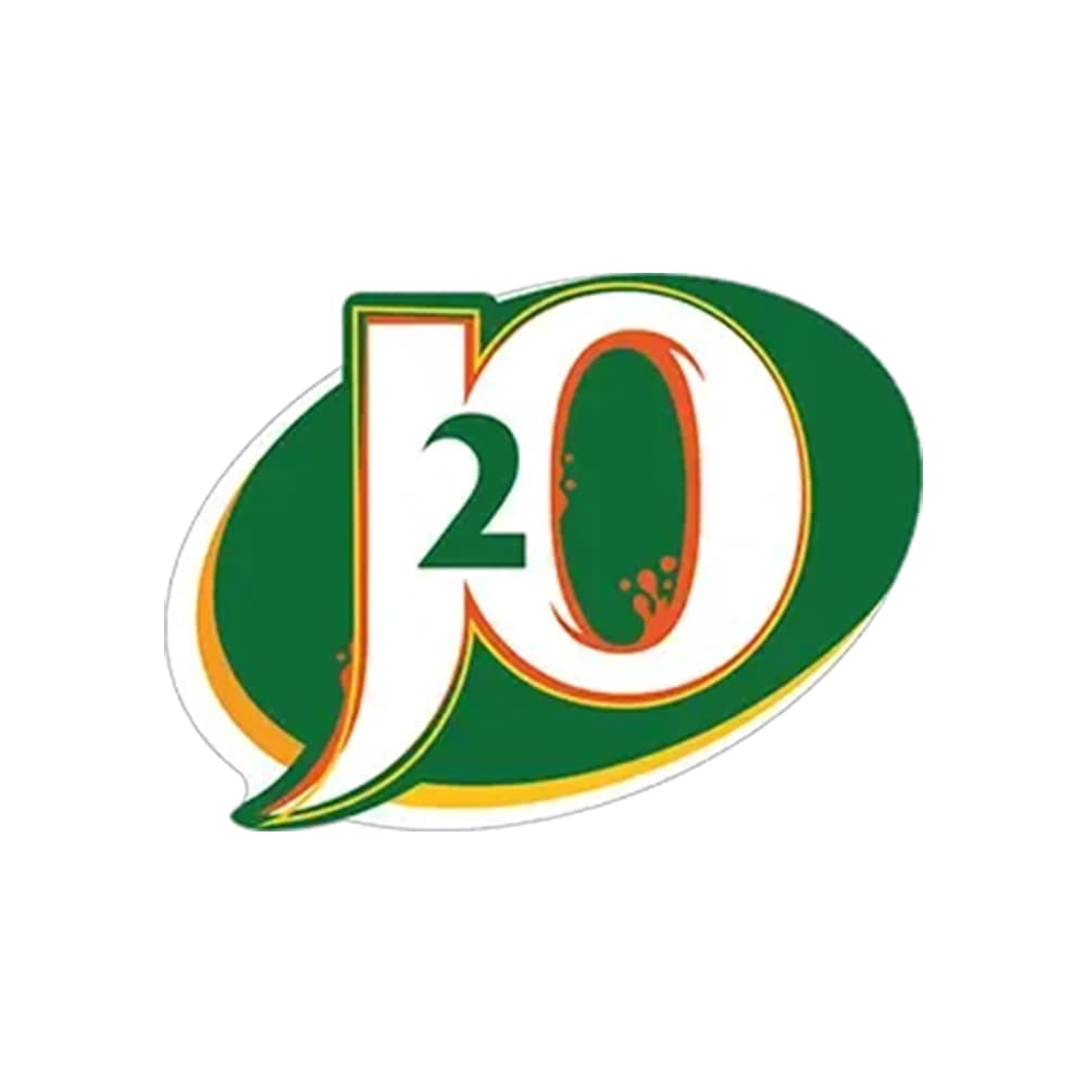 J20